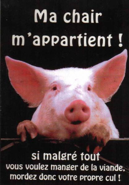 Mon best ...